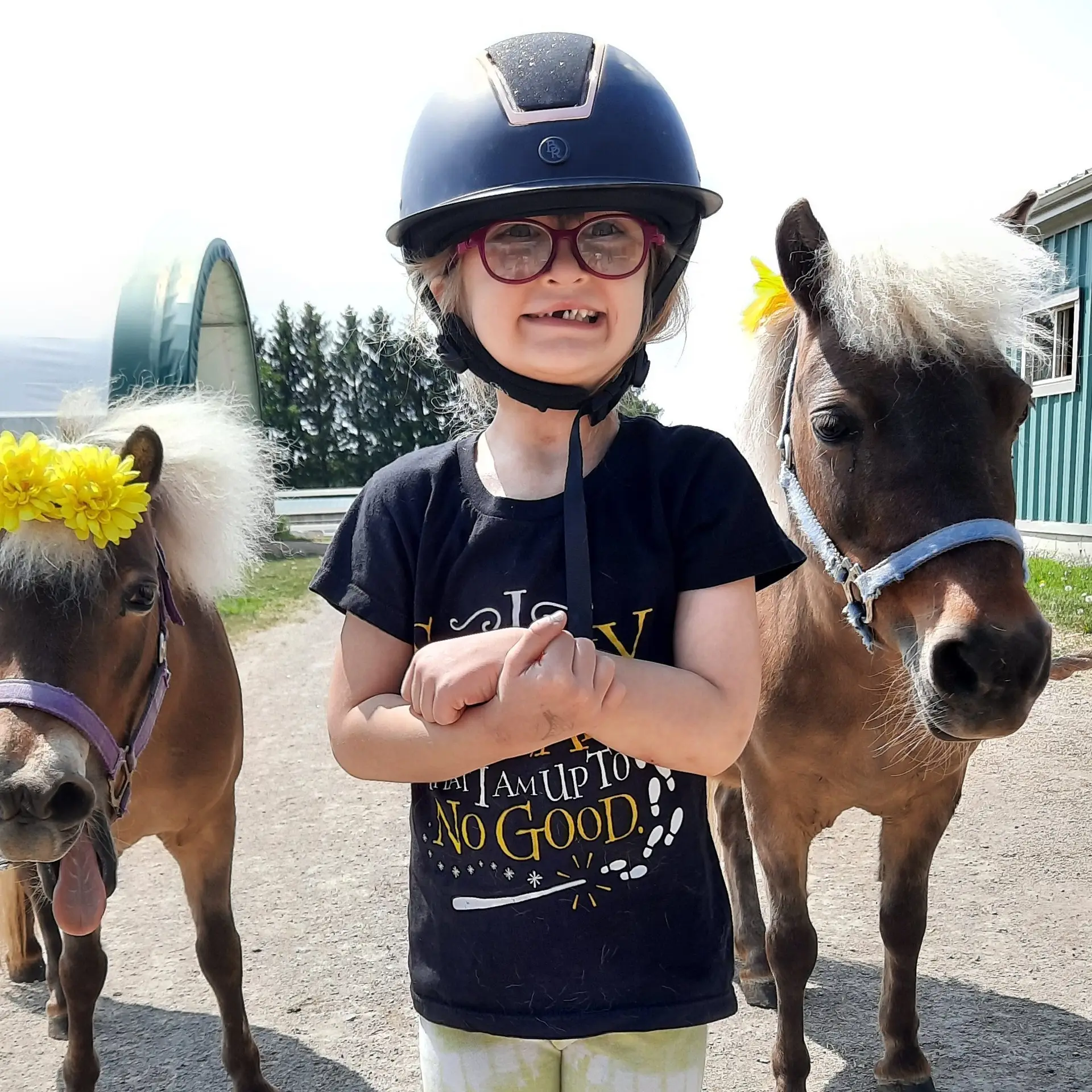 A young girl wearing glasses and a helmet smiles next to two mini horses wearing yellow flowers in their manes