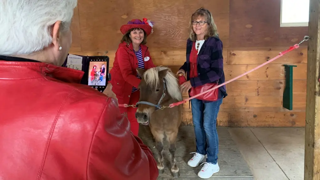 Two women pose with a mini pony while another woman takes a photo of them on a smartphone