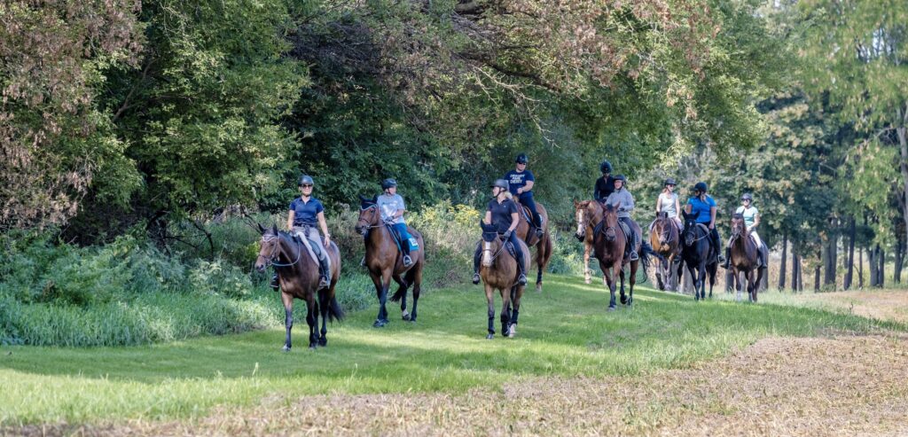 A large group of people riding horses on a trail