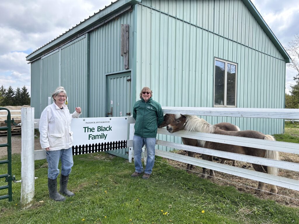 A man and a woman stand next to a fence with a sign on it. Two mini horses stand in a fenced paddock to the right of the photo.