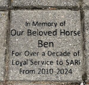 A grey brick laid into the ground that reads "In memory of our beloved horse Ben, for over a decade of loyal service to SARI from 2010-2024"